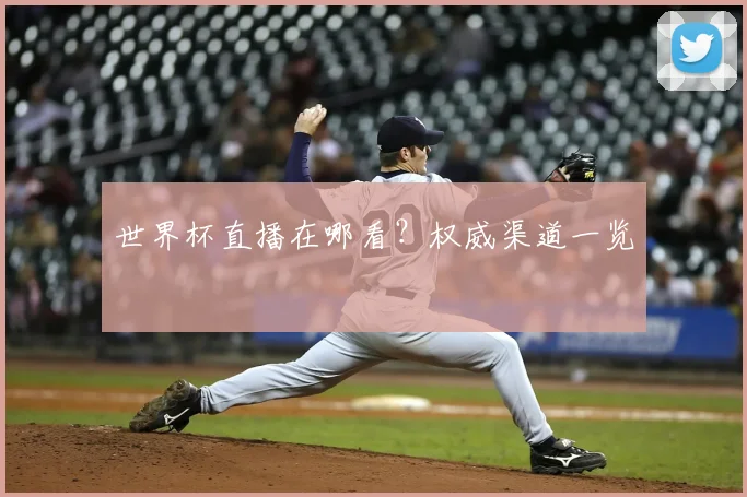 世界杯直播在哪看?权威渠道一览