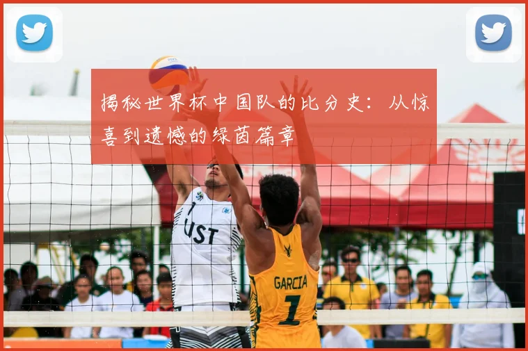 揭秘世界杯中国队的比分史：从惊喜到遗憾的绿茵篇章
