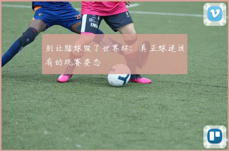 别让赌球毁了世界杯：真正球迷该有的观赛姿态