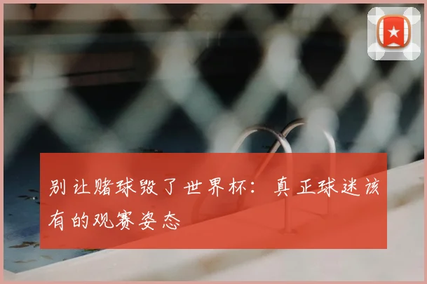 别让赌球毁了世界杯：真正球迷该有的观赛姿态