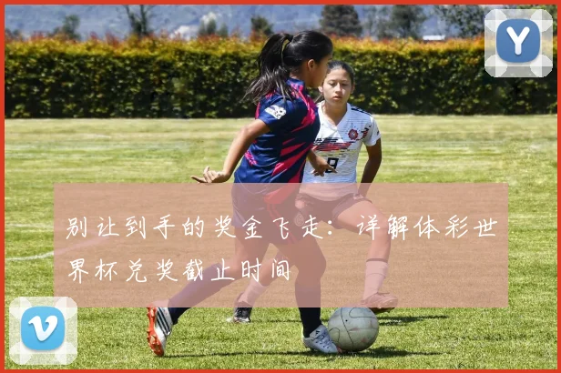 别让到手的奖金飞走:详解体彩世界杯兑奖截止时间