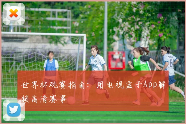 世界杯观赛指南:用电视盒子App解锁高清赛事