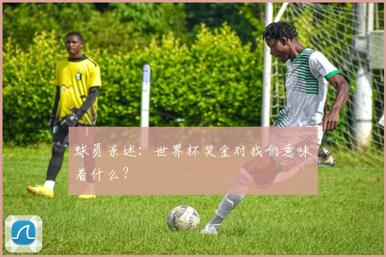 球员亲述：世界杯奖金对我们意味着什么？
