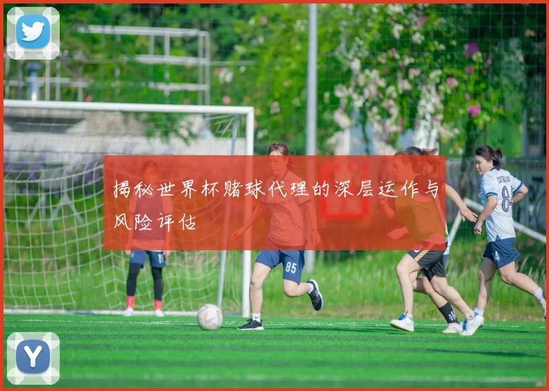 揭秘世界杯赌球代理的深层运作与风险评估