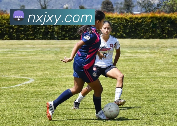 开云手机在线官网登录发展历程